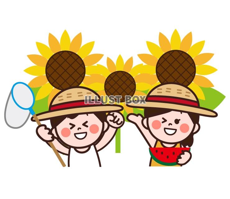 無料イラスト ヒマワリと子供 夏休み