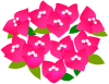 ブーゲンビリアのお花　赤２　（夏、南国）