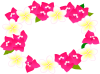 プルメリアとブーゲンビリアのお花のフレーム　赤　（夏、南国）