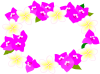 プルメリアとブーゲンビリアのお花のフレーム　ピンク　（夏、南国）