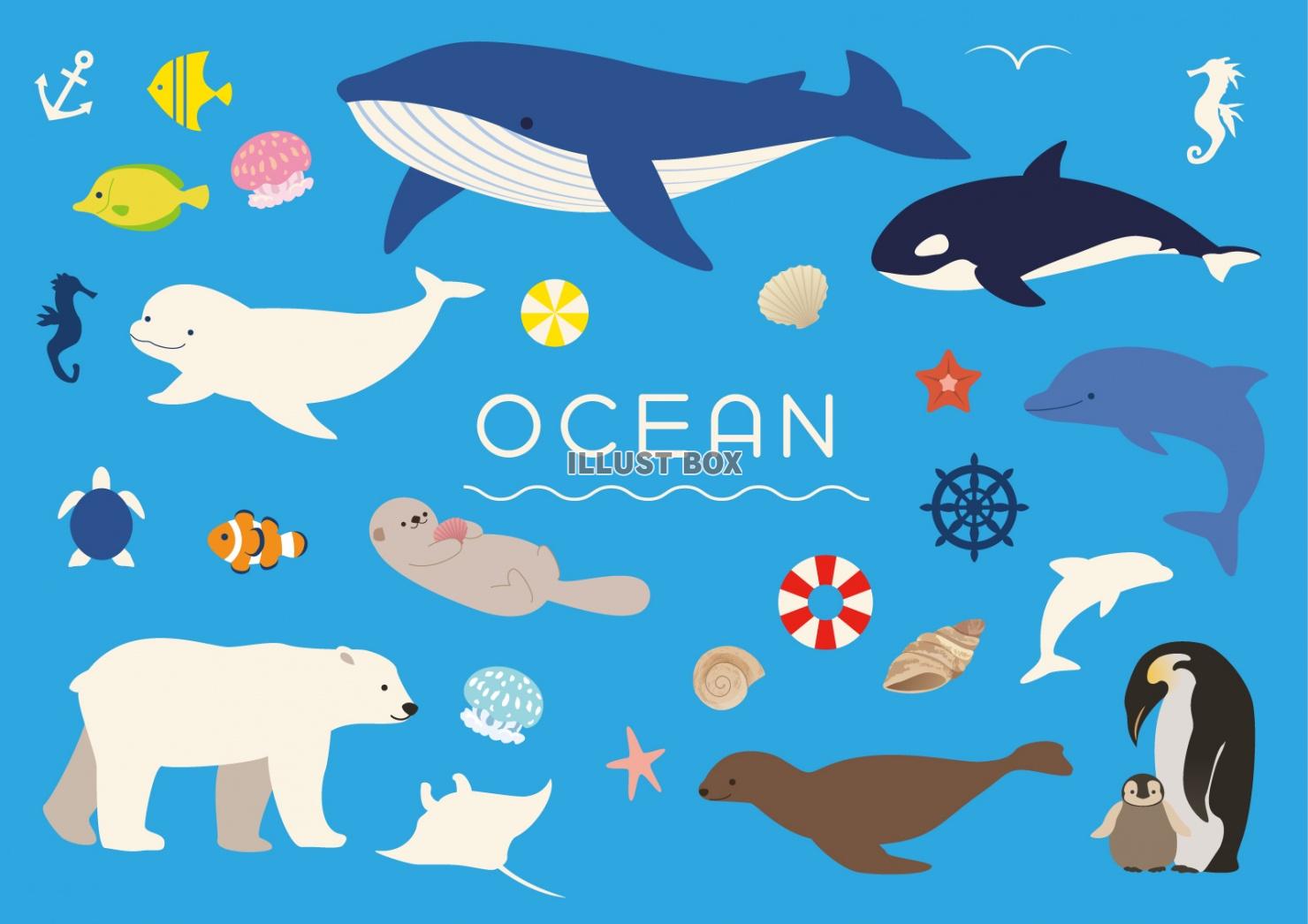 ビリー 描写 夫 水族館 イラスト かわいい Dn Japan Jp