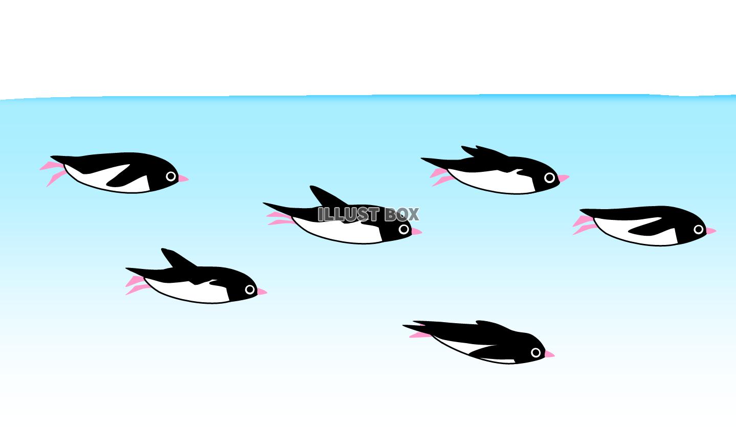 無料イラスト 泳ぐペンギンたち 南極 海 夏 水族館