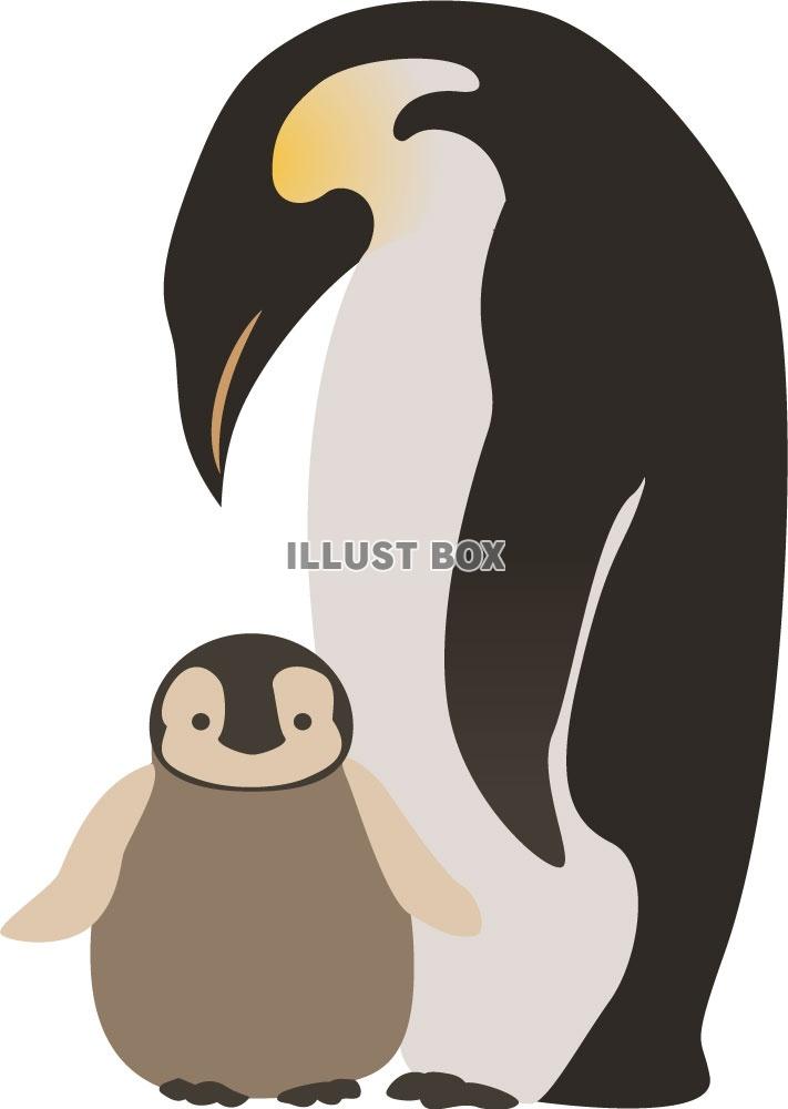 ペンギンの親子のイラスト