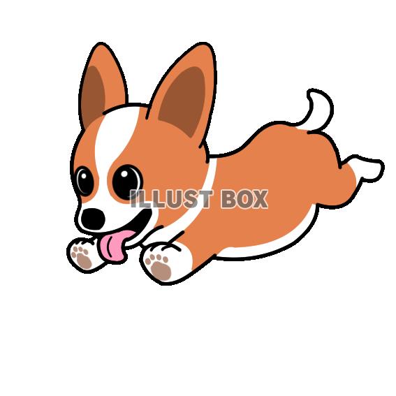 イラスト素材 犬 イラスト無料