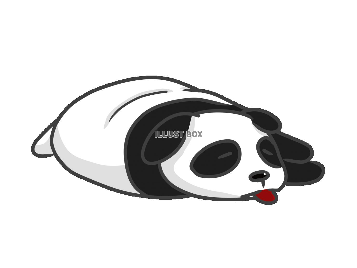 パンダ寝る。