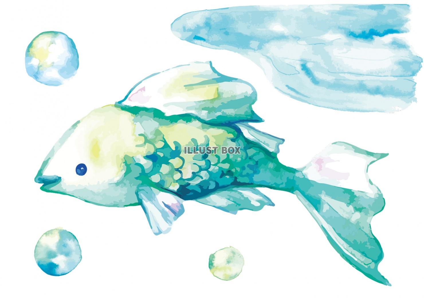 無料イラスト 水彩 魚のイラスト