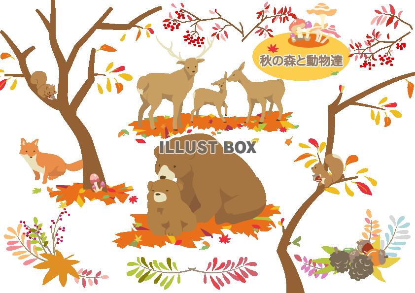 秋の森と動物達：イラスト無料