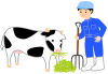 酪農家と牛（畜産、餌やり、ホルスタイン、フォーク、うし、牧場）