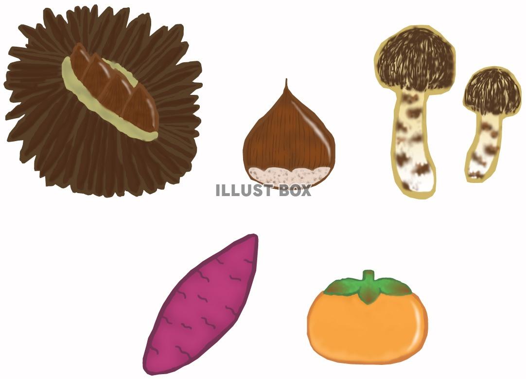 秋の食べ物(栗,さつまいも,柿,松茸)jpg