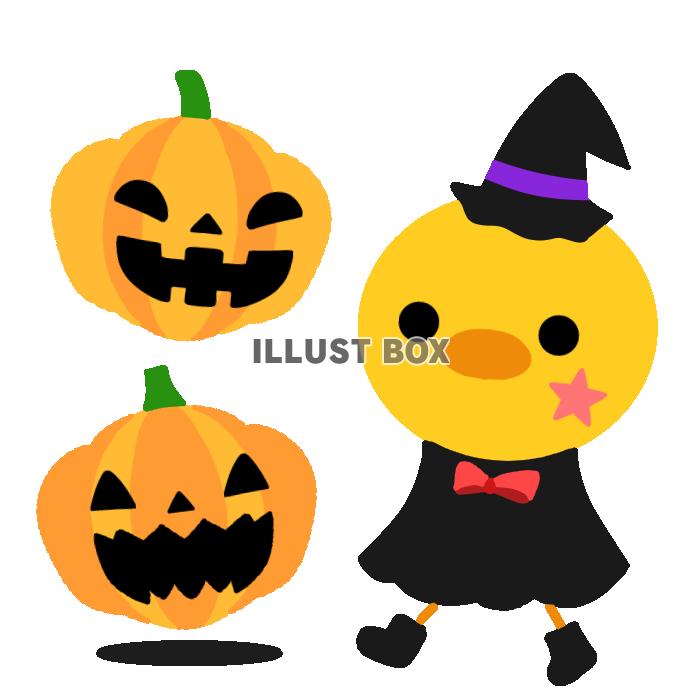 かぼちゃとハロウィンのひよこ　透過png