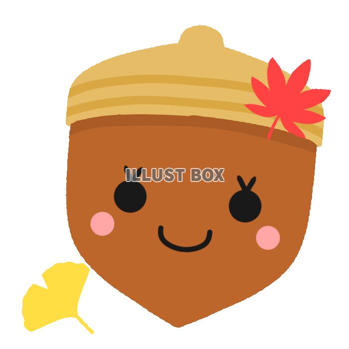 もみじ付きどんぐり　透過png