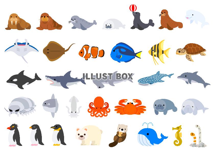 すべての動物の画像 75 海 の 生き物 イラスト