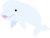 シロイルカ