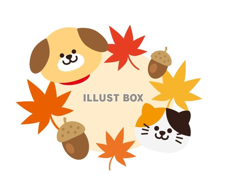 無料イラスト 犬と猫の秋フレーム２
