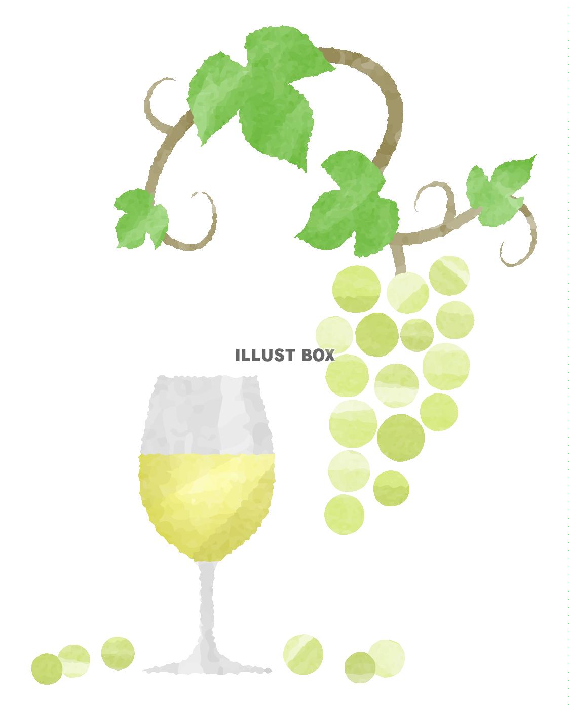 無料イラスト 手描き風ブドウと白ワイン