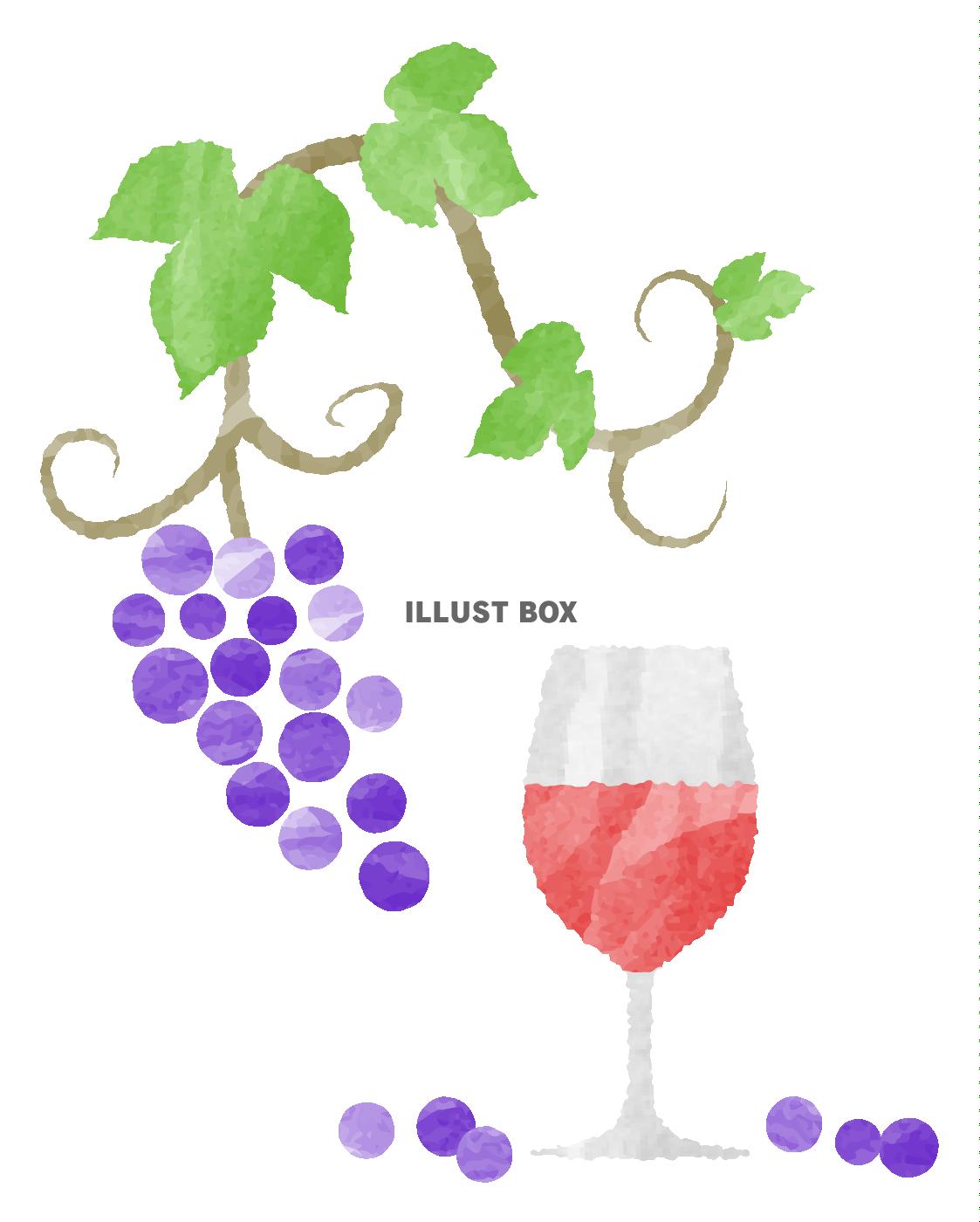 無料イラスト 手描き風ブドウと赤ワイン