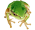 リアルなアマガエル