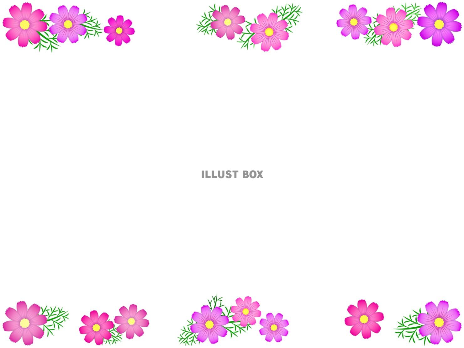 無料イラスト コスモスのフレーム花模様の飾り枠素材イラスト