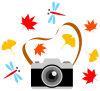 カメラと秋の葉とトンボ