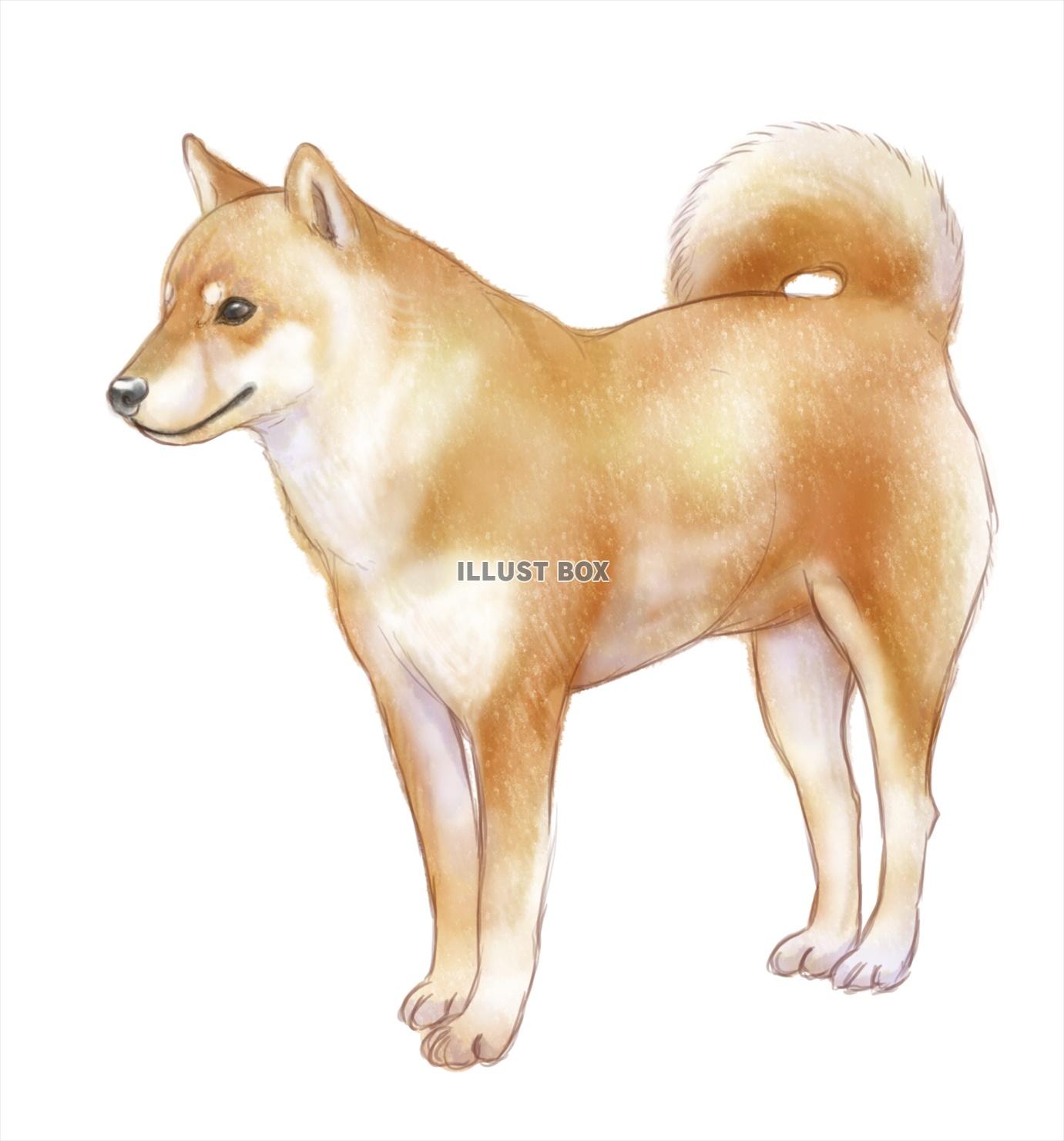 イラスト素材 犬 イラスト無料