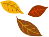  落ち葉６（秋、冬、枯れ葉）