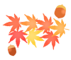 紅葉とどんぐり　透過png