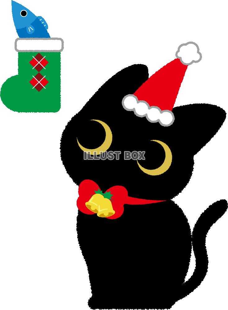 クリスマスプレゼントをもらった猫