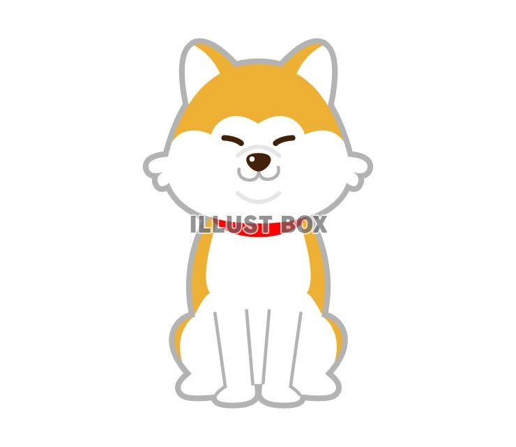 秋田犬（ペット）のイラスト