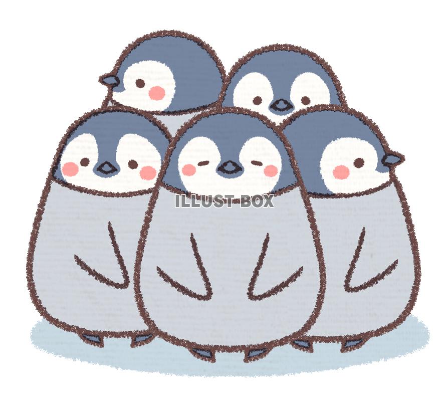 かわいい ペンギンのイラストが無料 イラストボックス