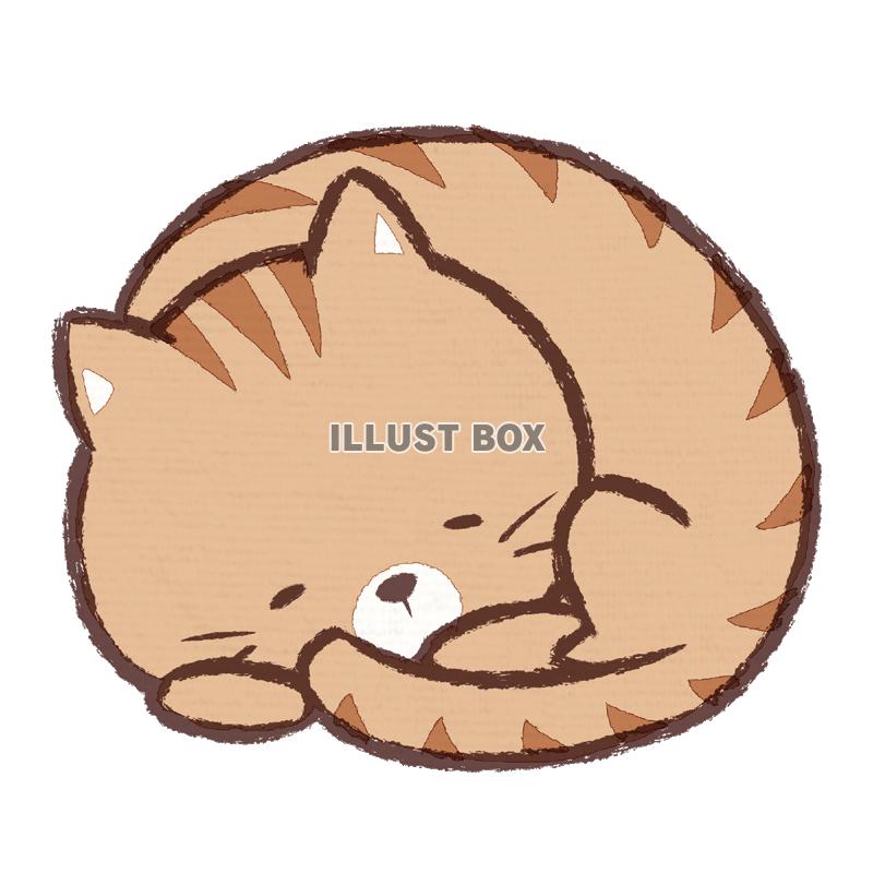 B5 手描きイラストプリント ねこ ネコ ハムスター 動物 友達 可愛い 猫 癒し 絵 最大72 オフ 絵