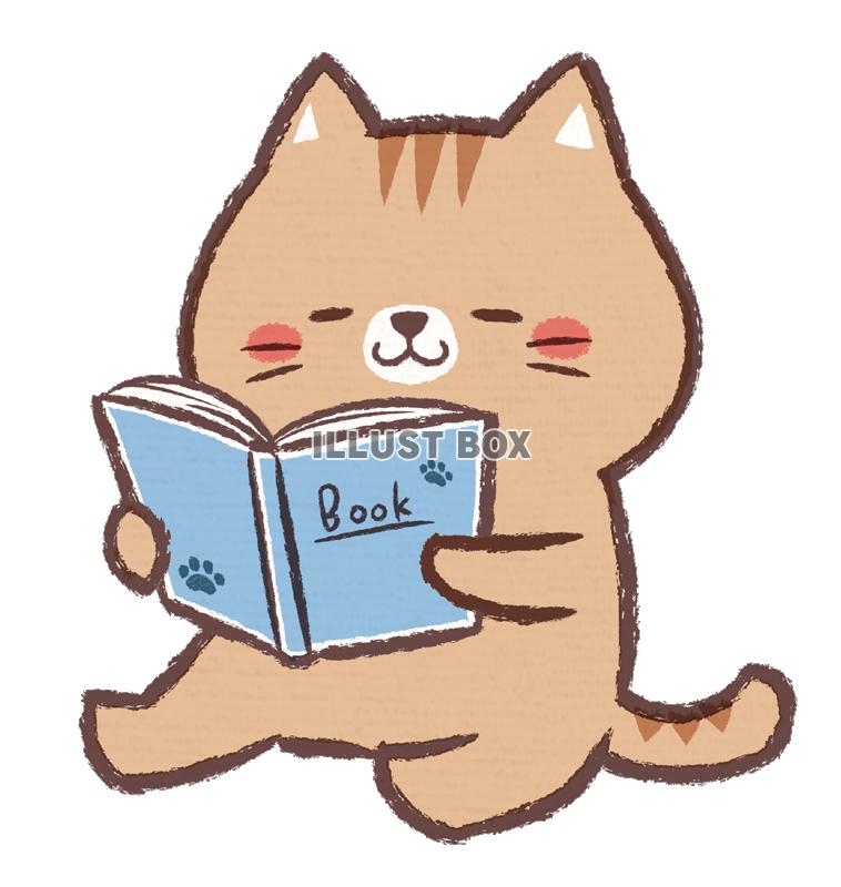 読書ネコ