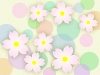 桜の花と水玉模様の壁紙カラフルな背景素材