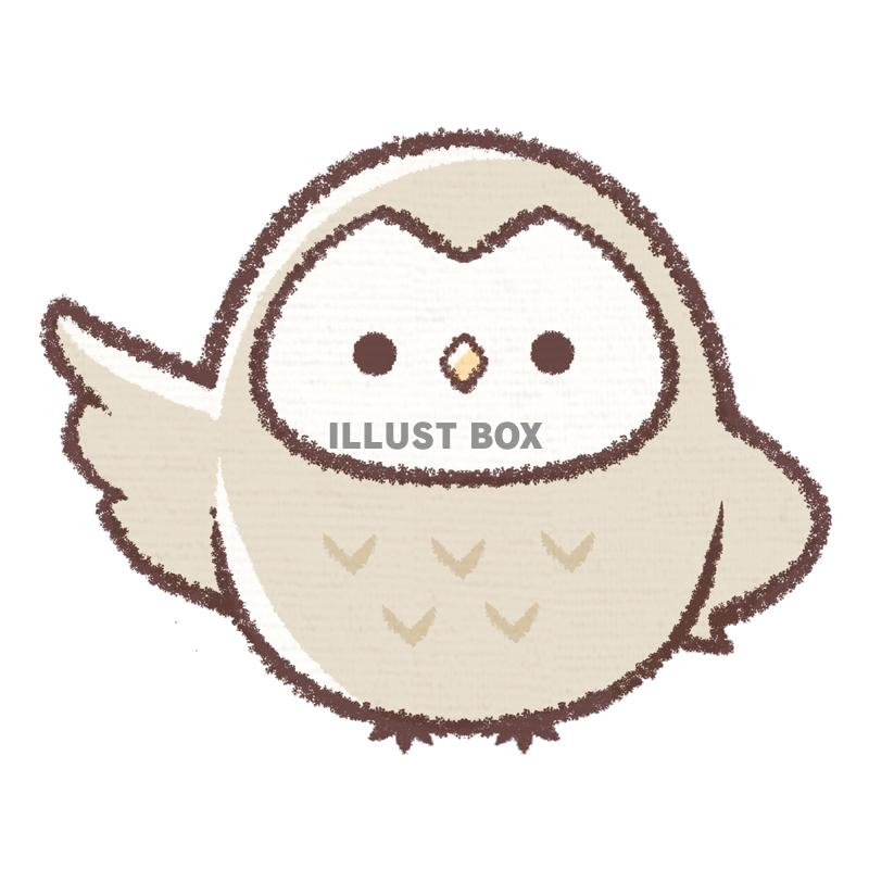 無料イラスト 案内フクロウ