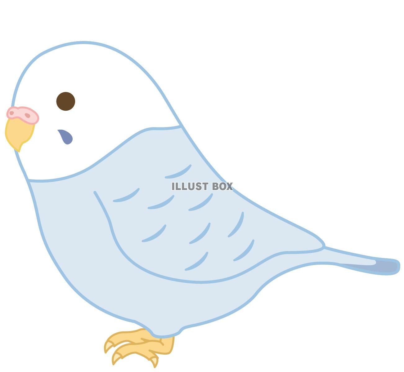 無料イラスト画像 綺麗なゆるい インコ イラスト かわいい