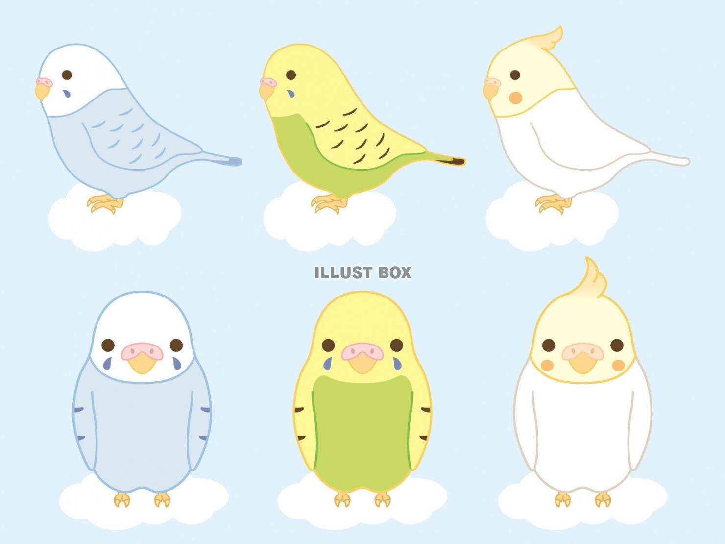 50 かわいい インコ イラスト 壁紙