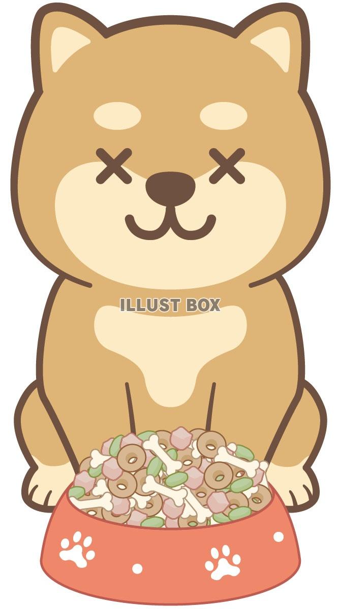 ワンちゃん　ご飯02