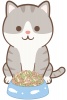 ネコちゃん　ご飯01