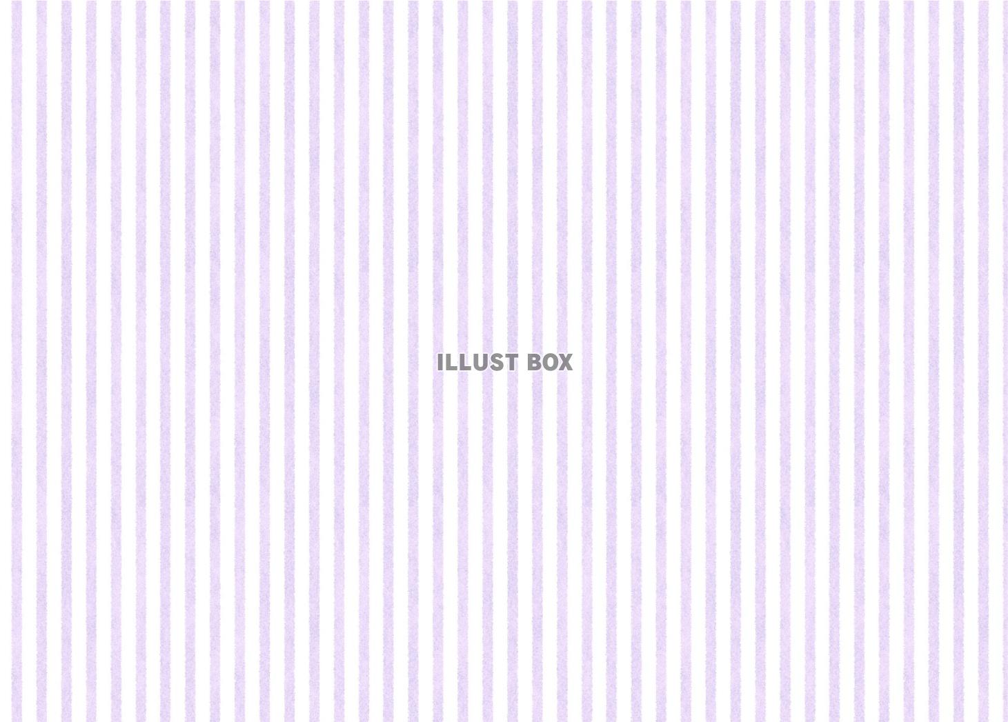 ペールボーダー（紫）