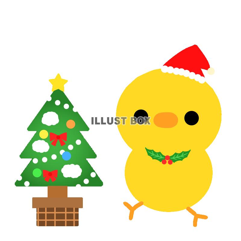 クリスマスツリーとひいらぎをつけたひよこ　透過png