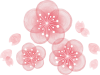  桜春花水彩手書き三月四月3月4月アイコンイラスト  お花見  シンプル  シル