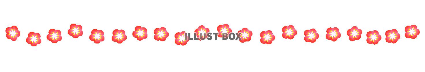 小さな梅の花のライン２（初春、うめ）