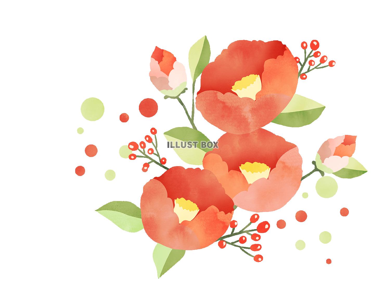美しい花の画像 Hd限定椿 イラスト フリー