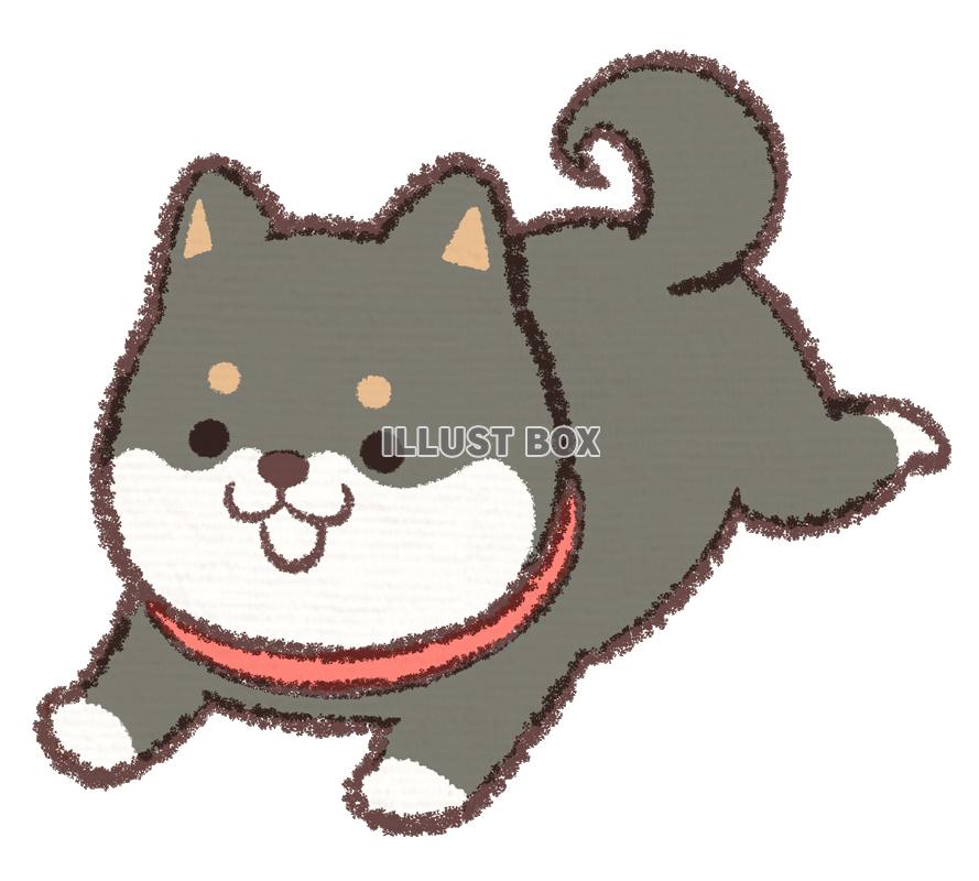 柴犬 イラスト かわいい