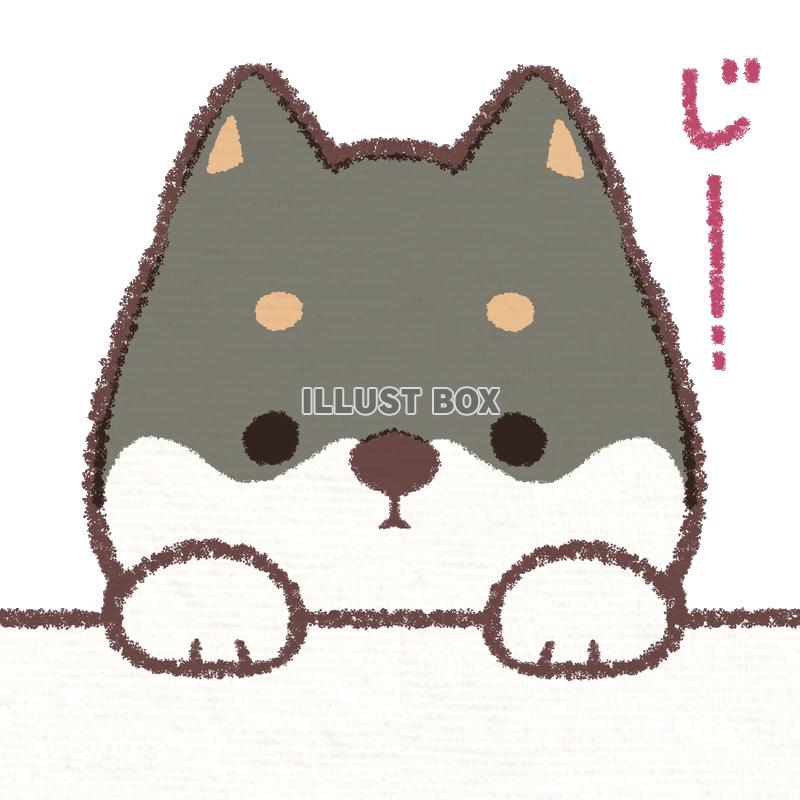 無料イラスト 黒柴犬じー