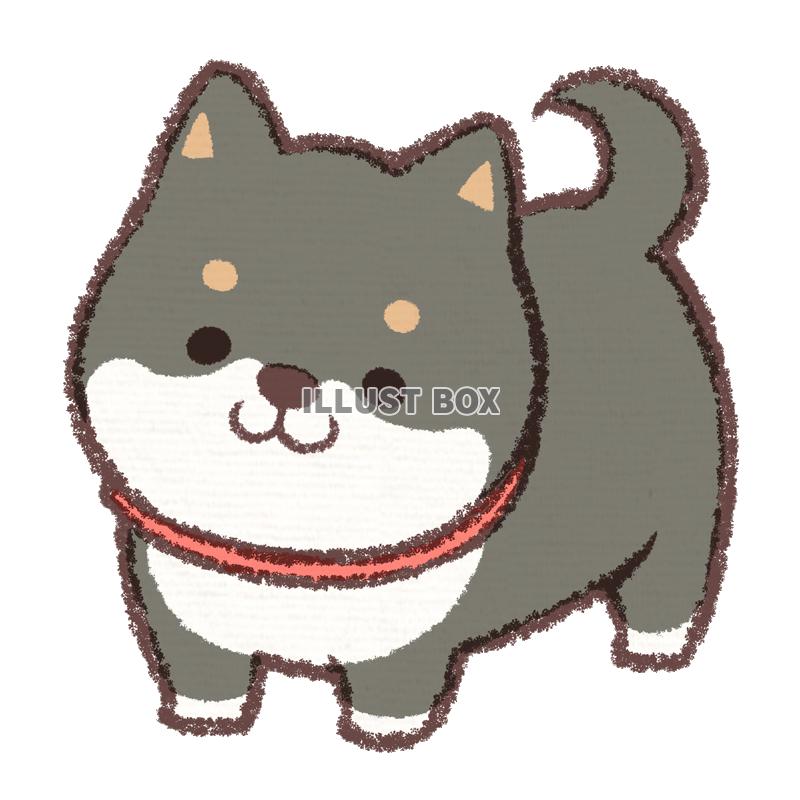 無料イラスト 黒柴犬首かしげ