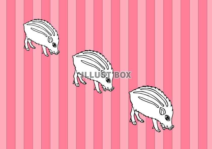 亥年の猪のイラスト年賀状イノシシ 