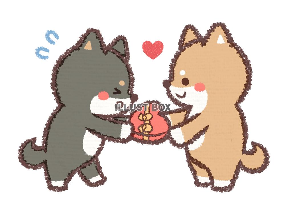 無料イラスト バレンタイン柴犬ツイン チョコ渡し