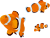 クマノミ