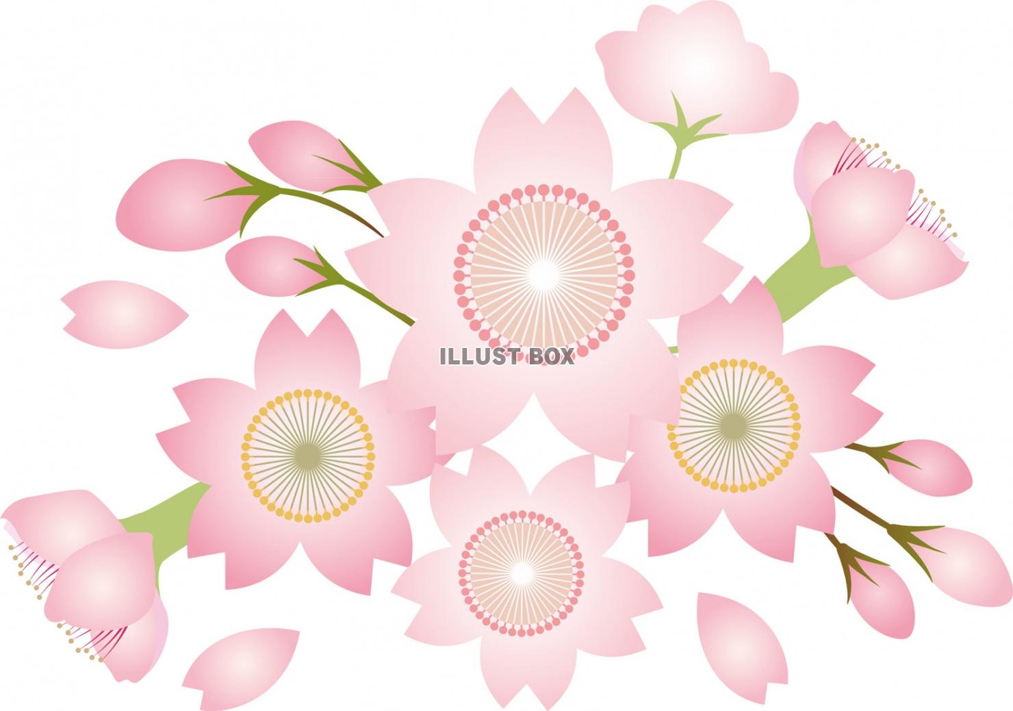 無料イラスト 桜花水彩画風手書きイラスト春手描き和アイコン和風和柄3月4月