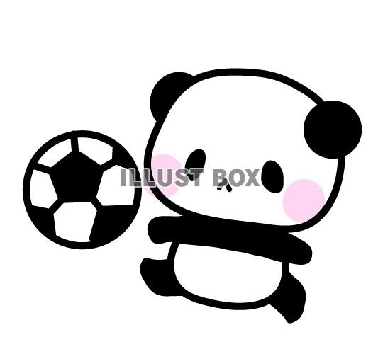 無料イラスト サッカーするパンダイラスト